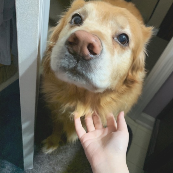 Meet the Seller! - Picture 2 of 2